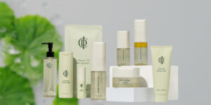 インセルダム製品一覧